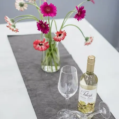 Prime Star Deak Ter Modern Luxury 公寓式酒店 布达佩斯